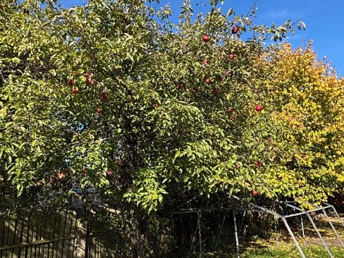 Prodej domu 65 m², pozemek 204 m²