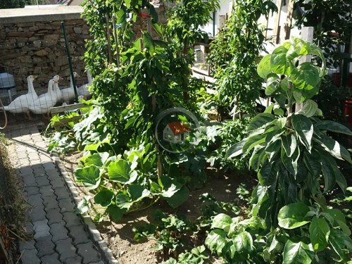 Prodej domu 115 m², pozemek 146 m²