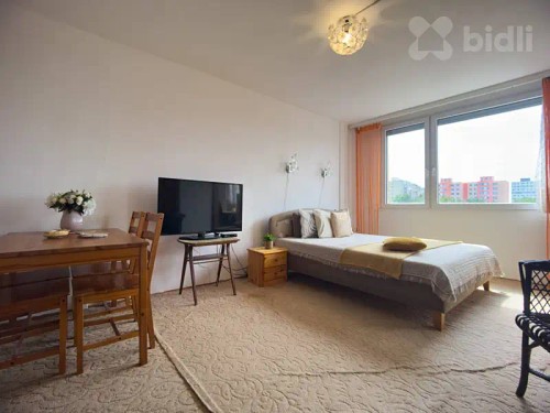 Prodaný  byt 1+1 42 m²