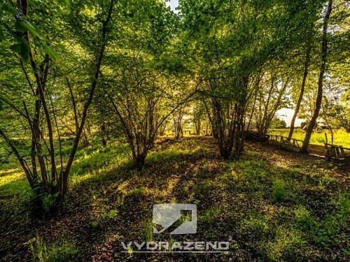 Prodej stavebního pozemku 458 m²