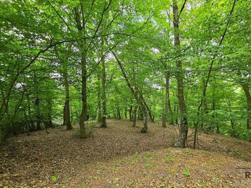 Prodej chaty 35 m²