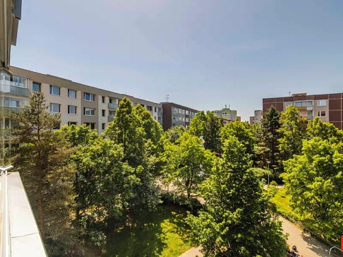 Prodej bytu 3+1 72 m²