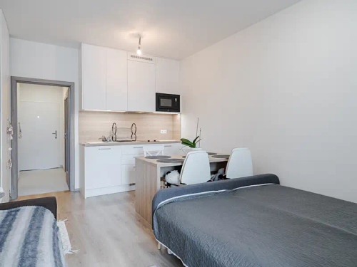 Prodaný byt 1+kk 30 m²