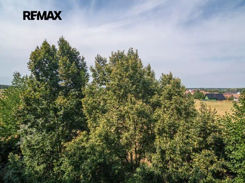 Prodej bytu 3+1 69 m²