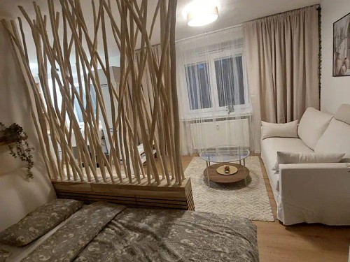 Prodaný  byt 1+kk 29 m²