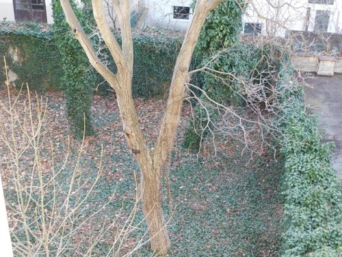 Prodej bytu 1+1 57 m²