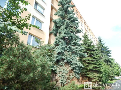 Prodaný byt 3+1 80 m²