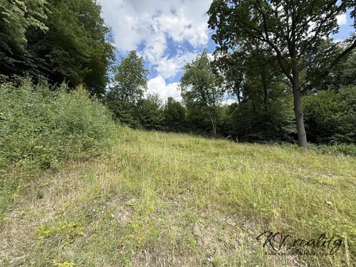 Prodej stavebního pozemku 2186 m²