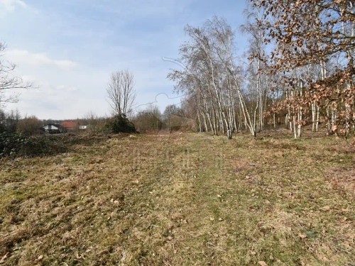 Prodej stavebního pozemku 6184 m²