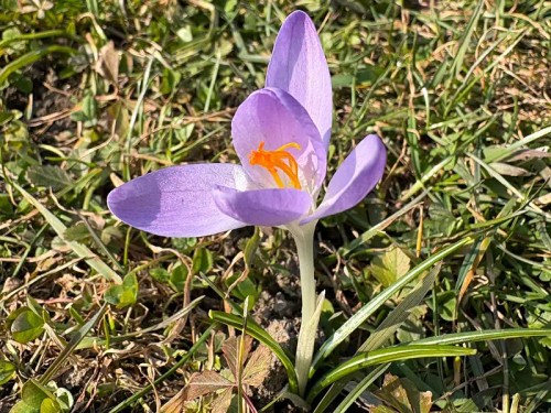 Prodej chaty 14 m², pozemek 290 m²