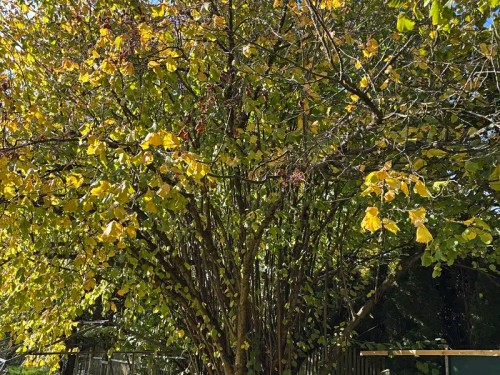 Prodej domu 65 m², pozemek 204 m²