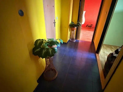 Prodej bytu 2+1 57 m²