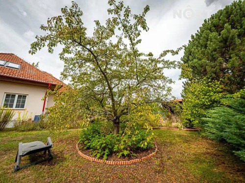 Prodej domu 160 m², pozemek 917 m²