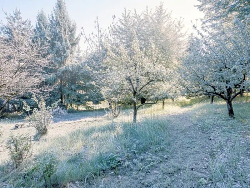 Prodej stavebního pozemku 2346 m²