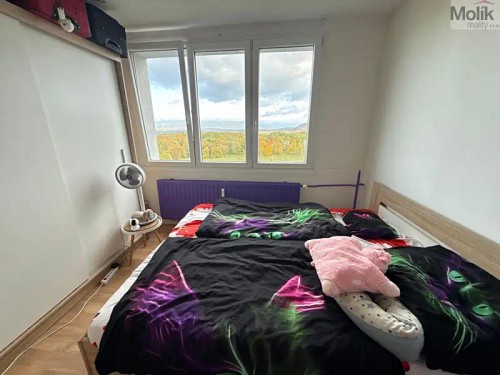 Prodej bytu 3+1 56 m²