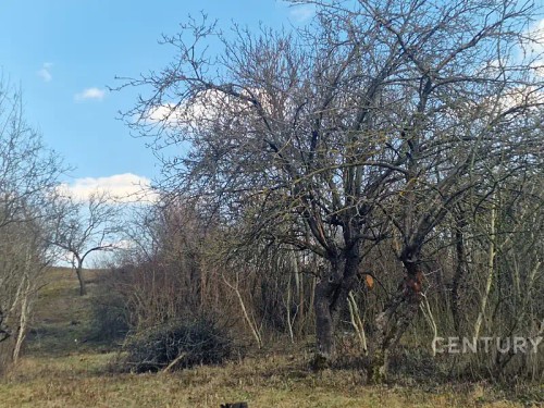 Prodej chaty 20 m², pozemek 1131 m²