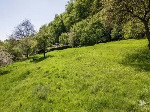 Prodej vily 208 m², pozemek 3304 m²