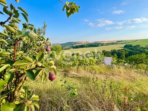 Prodej chaty 32 m², pozemek 707 m²