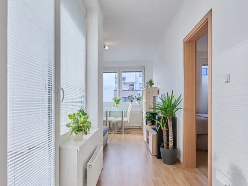 Prodaný byt 2+kk 55 m²