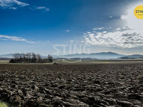 Prodej stavebního pozemku 1000 m²