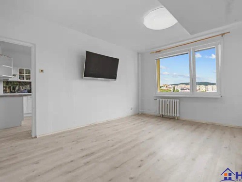 Prodaný byt 1+1 46 m²