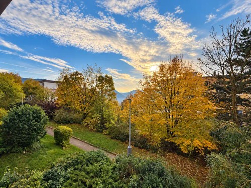 Prodej bytu 1+1 36 m²