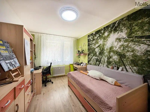 Prodej bytu 3+1 68 m²