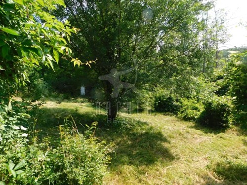 Prodej domu 291 m², pozemek 1199 m²