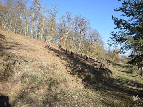 Prodej stavebního pozemku 2338 m²