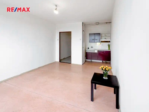 Prodaný byt 1+kk 27 m²