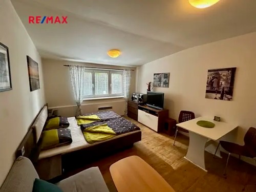 Prodaný byt 1+kk 29 m²