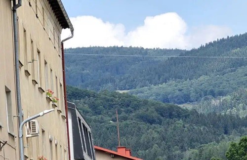Prodaný byt 1+1 49 m²