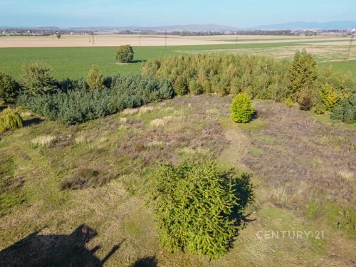 Prodej stavebního pozemku 973 m²