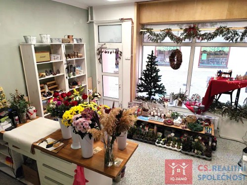 Prodej domu 326 m², pozemek 246 m²