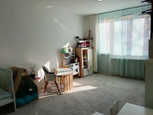 Prodaný  byt 3+1 88 m²