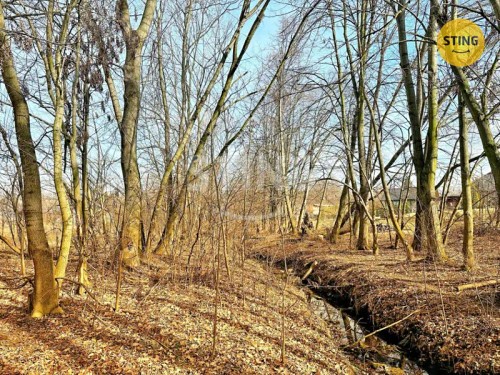 Prodej stavebního pozemku 5079 m²