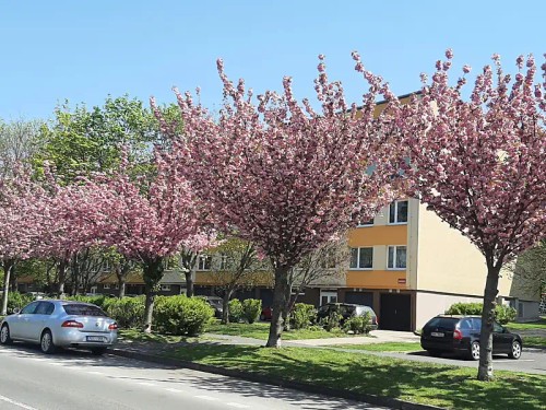 Prodaný byt 3+1 70 m²