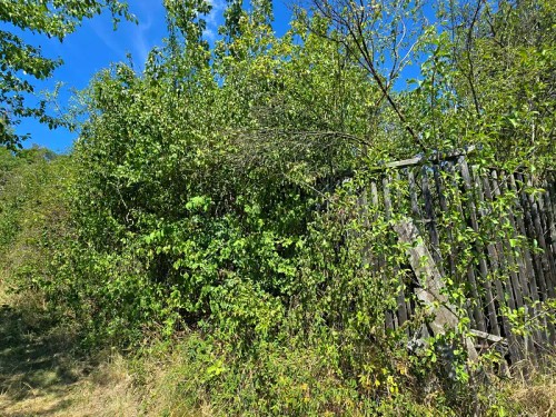 Prodej domu 56 m², pozemek 245 m²
