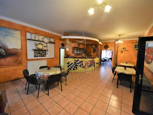 Prodej domu 770 m², pozemek 1076 m²