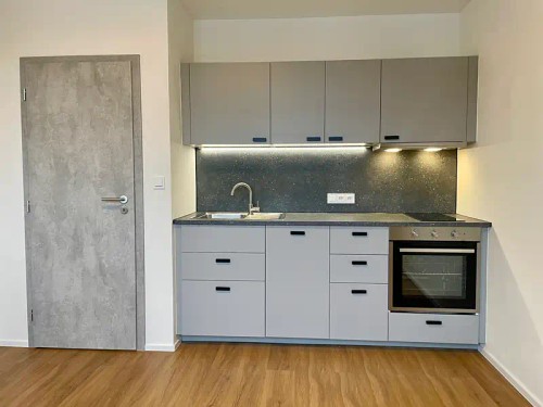 Prodaný  byt 1+1 40 m²