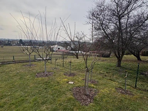 Prodej chaty 14 m², pozemek 290 m²