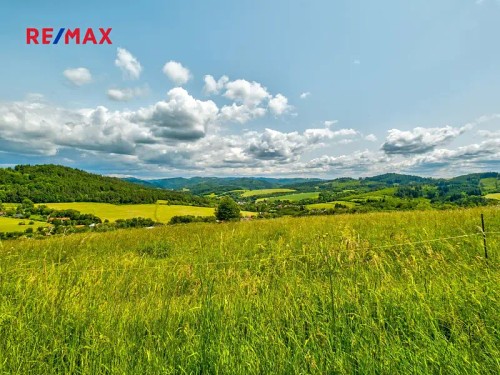 Prodej stavebního pozemku 3000 m²