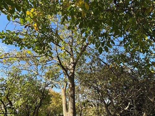 Prodej domu 65 m², pozemek 204 m²