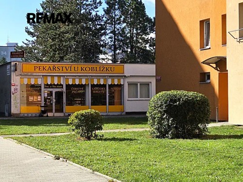 Prodej bytu 1+1 44 m²