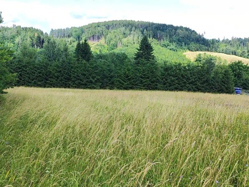 Prodej stavebního pozemku 1437 m²