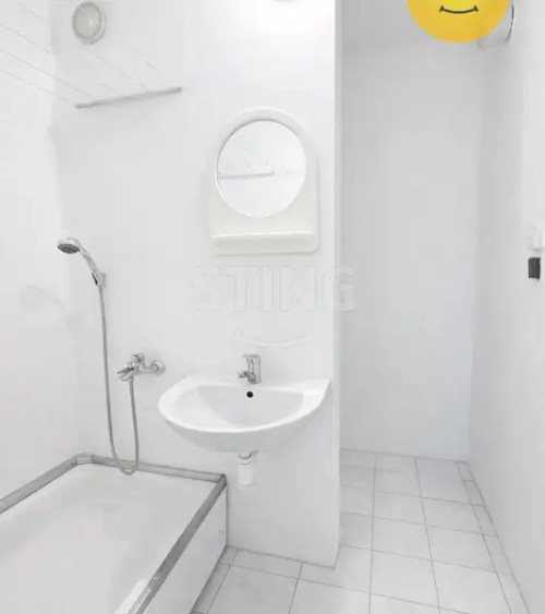 Prodej bytu 2+1 46 m²