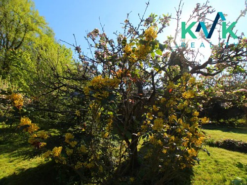 Prodej chaty 23 m², pozemek 392 m²