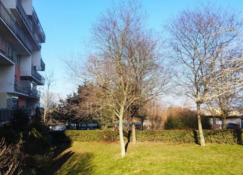 Prodej bytu 2+kk 64 m²