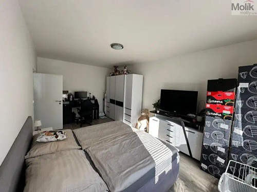 Prodej bytu 2+1 56 m²