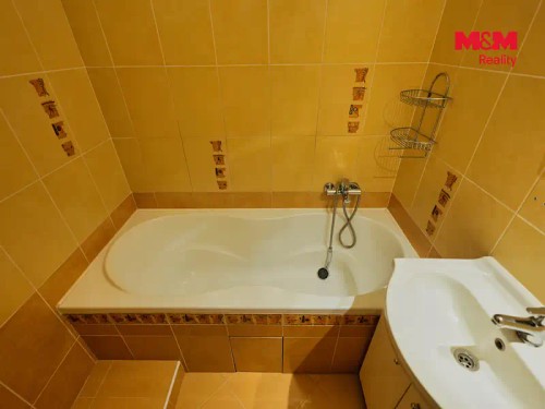 Prodaný byt 3+1 67 m²